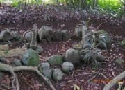 Dalam Hukum Islam, Ini Hal ini Harus Diperhatikan dalam Proses Pemindahan Makam