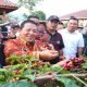 Gubernur Lampung Arinal Djunaidi, membuka festival Kopi di Lampung Barat. Dia menjanjikan segera ada sekolah Kopi di Lampung (dok Humas)