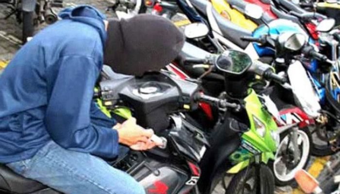 Polres Lamsel Bekuk Tiga Pelaku Ranmor Asal Lampung Timur