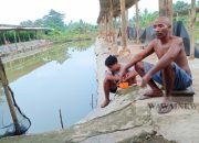 Pengusaha Pemancingan di Sidomulyo, Kesulitan Mendapat Pasokan Ikan