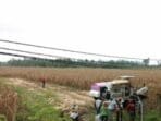 JRA Lamsel, Berhasil Masuk Industri