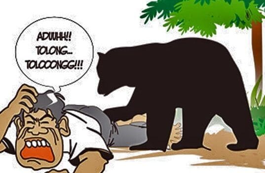 Beruang Masuk Kebun Bikin Geger Warga Wonosobo, Polisi dan Aparat Pekon Turun Tangan