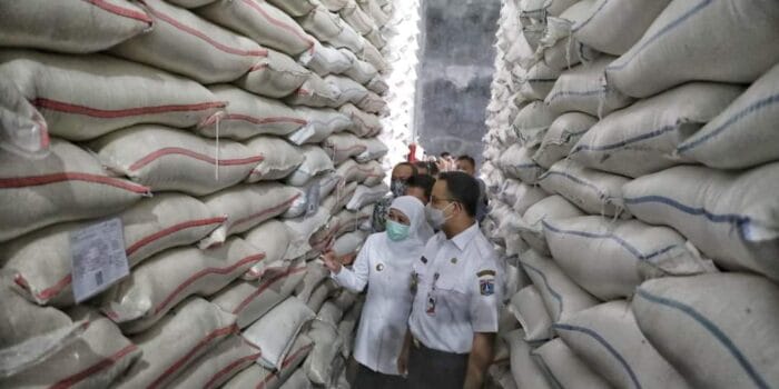 Bulog Pecahkan Rekor! Beras untuk Program Makan Bergizi Gratis Tembus 1 Juta Ton, Gudang Negara Kini “Sesak”