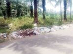 Sampah Liar Bertebaran di Ujung Desa Gunung Sugih Besar