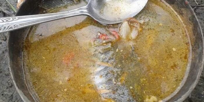 Gulai Bassal, Masakan Ikan Khas Sekampung Limo Mego Lamtim