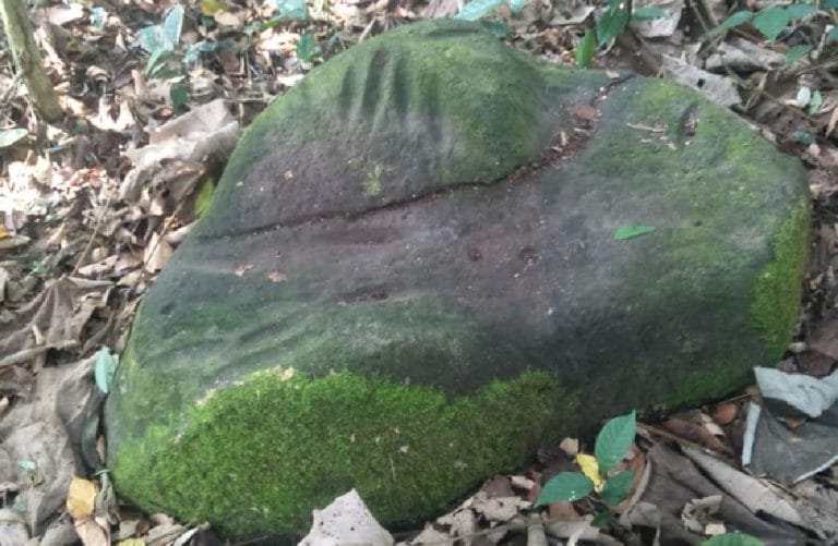 Negeri Ider Budi: Jejak Sunyi Kampung Pertama, Antara Sejarah, Mitos, dan Ingatan Kolektif