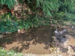 Menguak ‘Tiyuh Silep’ di Desa Gunung Sugih Besar, Lampung Timur