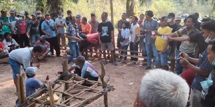 Ada Arena Judi Sabung Ayam di Wilayah Hukum Polres Lampung Selatan?