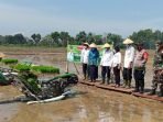 DKP3 Uji Coba Padi Varites Terbaru, Bisa Panen 70 Hari