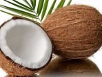 Ini, Lima Manfaat Buah Kelapa Bagi Kesehatan