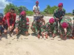 KKP Lepas Ratusan Tukik di Ujung Selatan Indonesia