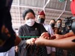 Kebijakan Penangkapan Terukur Pastikan Nelayan Aman Melaut