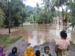 Hujan Lima Jam, Puluhan Rumah di Pekon Napal Terendam Banjir
