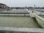 Republik Lele di Kediri Jadi Model Bisnis Budidaya Berkelanjutan