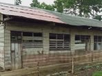 Penampakan SD Negeri di Dusun Lebungsari, Pekon Unggak, Kelumbayan, Tanggamus, dari luar cukup memprihatinkan karena masih menggunakan dinding dari papan -foto SMN