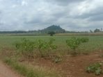 Benteng Terakhir Pertahanan Resapan Air di Lamtim Harus Dikembalikan sebagai Hutan