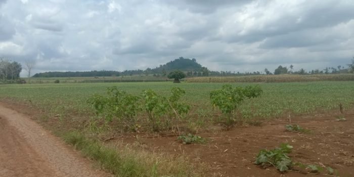 Benteng Terakhir Pertahanan Resapan Air di Lamtim Harus Dikembalikan sebagai Hutan