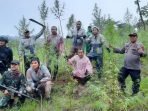 Petugas Musnahkan 40,3 Ton Ganja di Aceh, Luas Ladang 6,28 Hektar