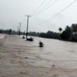 Banjir Bandang Kepung Candipuro Lamsel, Petani Terancam Gagal Panen