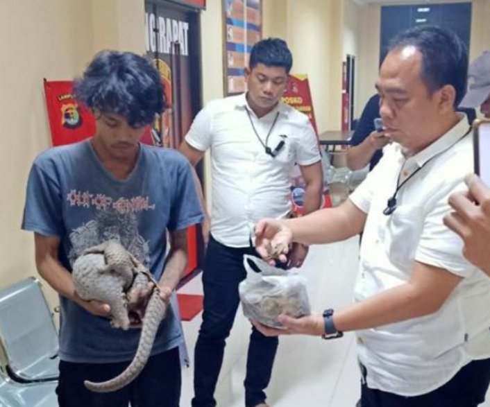 Dit Reskrimsus Polda Lampung mengungkap 3 perkara penjualan satwa dilindungi