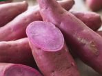 Manfaat Konsumsi Ubi Jalar Bagi Tubuh