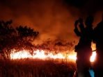 Lokasi titik kebakaran berada di Seksi Pengelolaan Taman Nasional (SPTN) Wilayah 2 Bungur di resort Toto Projo dan Resort Rantau Jaya
