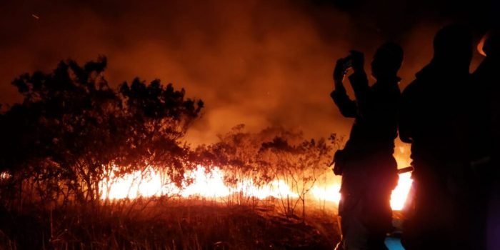 Anggota DPRD Lampung: Kebakaran di TNWK Ada Indikasi Kesengajaan