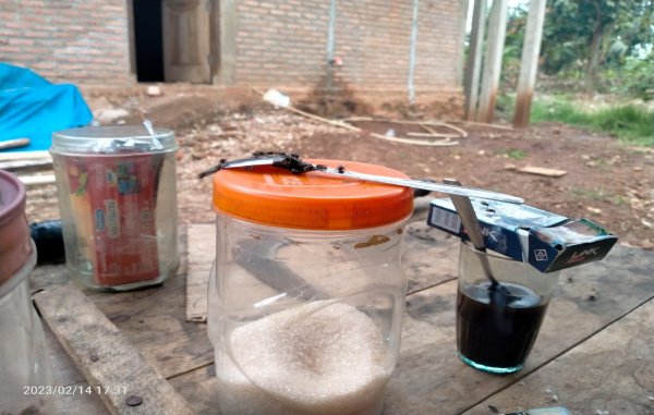 Kawanan lalat masuk ke pemukiman warga di Desa Gunung Sugi Besar, Sekampung Udik, Lampug Timur. Ismail warga setempat mengakui kondisi itu telah terjadi sebulan terakhir, Selasa (14/2/2023) - foto dok Rojali