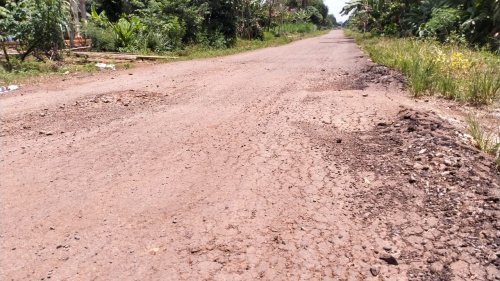 Kondisi jalan Lapen di Desa Banjar Agung, Sekampung Udik, sudah mengelupas hingga 100 meteran secara keseluruhan. Padahal baru selesai dikerjakan pada Januari 2023 lalu.