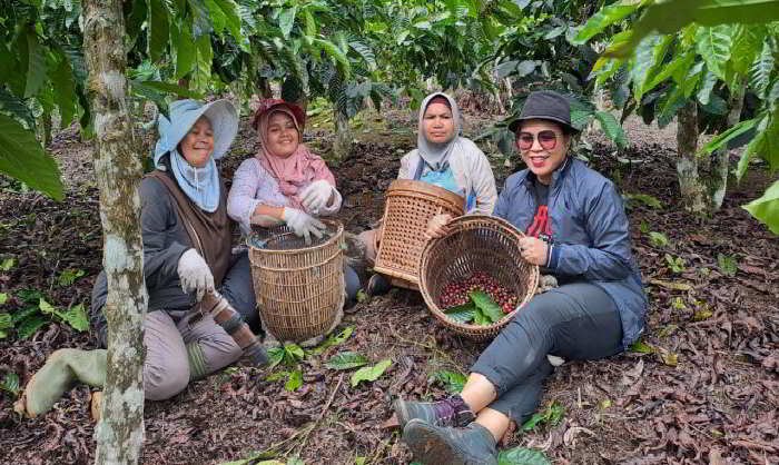 Eni Wartuti (Kanan) saat bertemu Ibu-ibu petani di perkebunan Kopi di Desa Tanjung Mudo, Jangkat Timur, di kaki gunung Mesurai, Merangin, Selasa (28/2/2023)