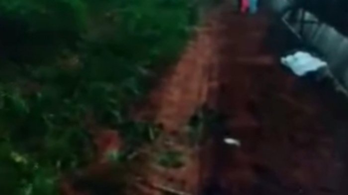 Keadaan areal perkebunan dan tanaman petani yang rusak