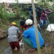 Kebiasaan Buruk, Warga Batanghari Lampung Timur Masih Cuci Jeroan Hewan Kurban di Aliran Irigasi