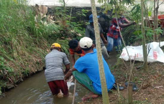 Kebiasaan Buruk: Warga Batanghari, Lampung Timur masih mencuci jeroan hewan kurban di aliran irigasi yang airnya berwarna coklat dan kotor. Hal itu dikhawatirkan kesehatan pada hewan kurban sendiri, Kamis (29/6/2023) - foto Wahid Tobo
