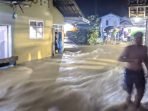 Banjir Bandang di Tanggamus Juga Terjang Dua Pekon di Kecamatan Wonosobo