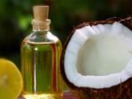 Beragam Manfaat Minyak Kelapa Bagi Kesehatan Kulit