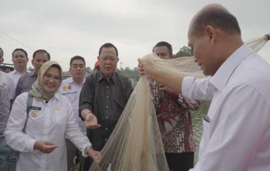 Ketua Komisi IV DPR RI Sudin mendorong pembudidaya ikan air tawar di wilayah Lampung Selatan produktif dengan menggandeng Kementerian Kelautan Perikanan (KKP)