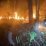 Perkebunan Jati di perbukitan Pekon Sumberrejo, Pagelaran, Pringsewu terbakar. Dugaan sementara penyebab kebakaran dilakukan oleh ODGJ, Sabtu (26/8/2023)