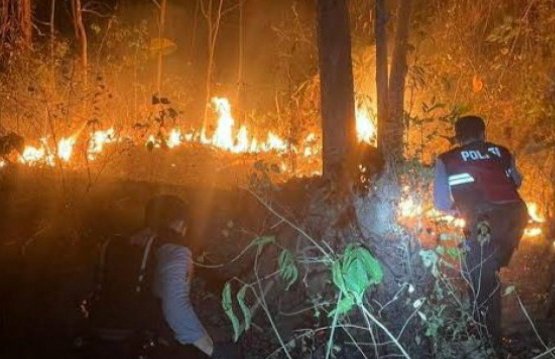 Perkebunan Jati di perbukitan Pekon Sumberrejo, Pagelaran, Pringsewu terbakar. Dugaan sementara penyebab kebakaran dilakukan oleh ODGJ, Sabtu (26/8/2023)