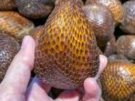 Jangan Remehkan Buah Salak, Ini 6 Manfaat Baik Buat Kesehatan Tubuh