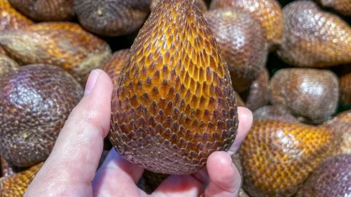 Ilistrasi