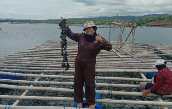 Wa Ode Sastaviani Dewi, lulusan Politeknik Ahli Usaha Perikanan (AUP) anak nelayan kecil sukses kembangkan budidaya anek rupa