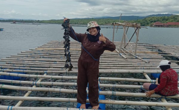 Wa Ode Sastaviani Dewi, lulusan Politeknik Ahli Usaha Perikanan (AUP) anak nelayan kecil sukses kembangkan budidaya anek rupa