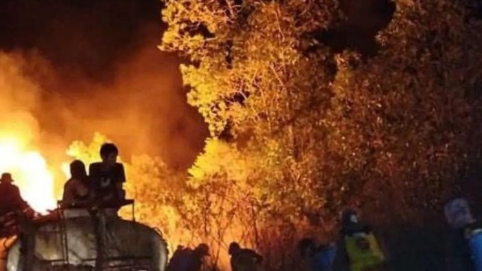 Si jago merah melahab kawasan hutan lindung TNWK telah terjadi sejak tiga hari terakhir.