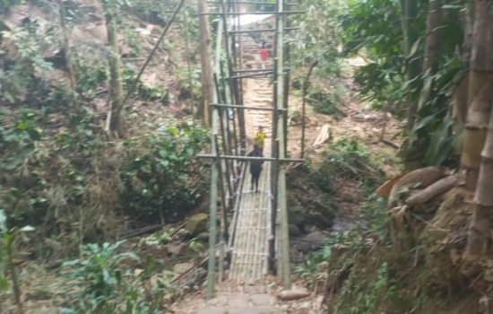 Jembatan terbuat dari bambu akses menuju Baduy Dalam, (foto_nn)