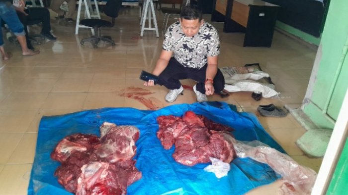 30 kilogram daging rusa yang diduga hasil perburuan liar diamankan petugas pada Kamis 26 Oktober 2023