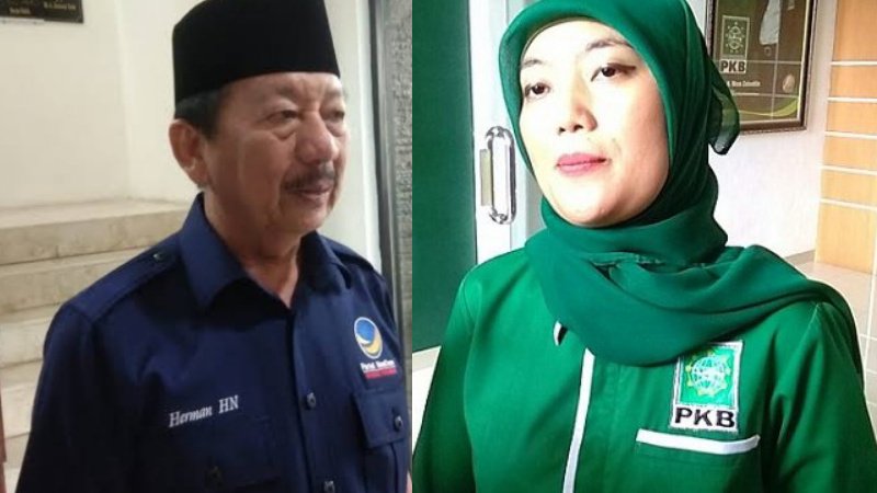 Herman HN Ketua NasDem Lampung dan mantan Wakil Gubernur Lampung Chusnunia Chalim sebagai Ketua Tim Pemenangan Daerah Pasangan Capres - Cawapres Anies Baswedan dan Muhaimin Iskandar (AMIN). 