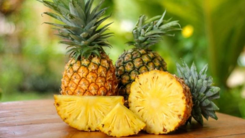 Nanas (Ananas comosus)