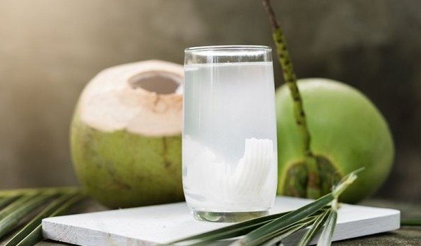 Kelapa muda (foto_ssnt)