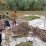 Ratusan hektare lahan pertanian rusak akibat banjir dan longsor di sejumlah titik di wilayah Kecamatan Semaka, (foto_sst)