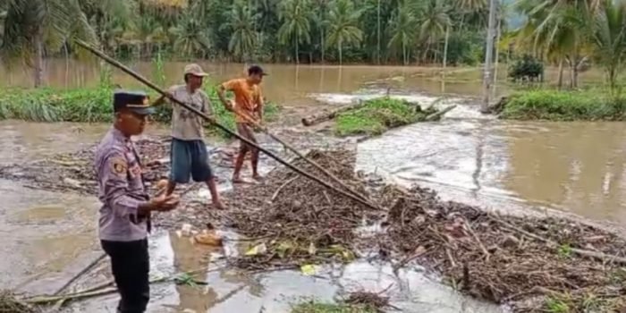 Banjir dan Longsor di Tanggamus Rusak Ratusan Hektar Lahan Pertanian di Semaka